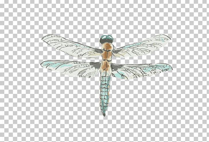 Dragonfly Drawing Watercolor Painting PNG, Clipart, Cartoon Dragonfly, Dragonfly Wings, Dragonfly With Flower, Encapsulated Postscript, Fly Free PNG Download