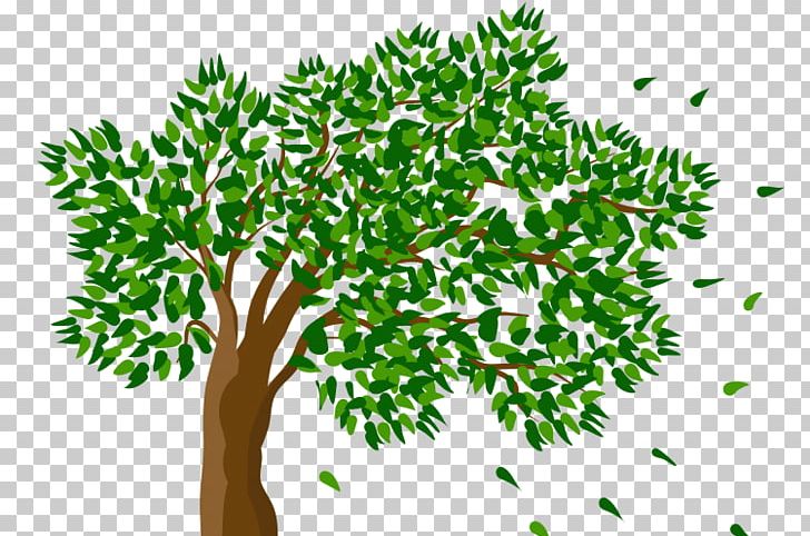 Portable Network Graphics Transparency PNG, Clipart, Branch, Child, Desktop Wallpaper, Drawing, Flowerpot Free PNG Download