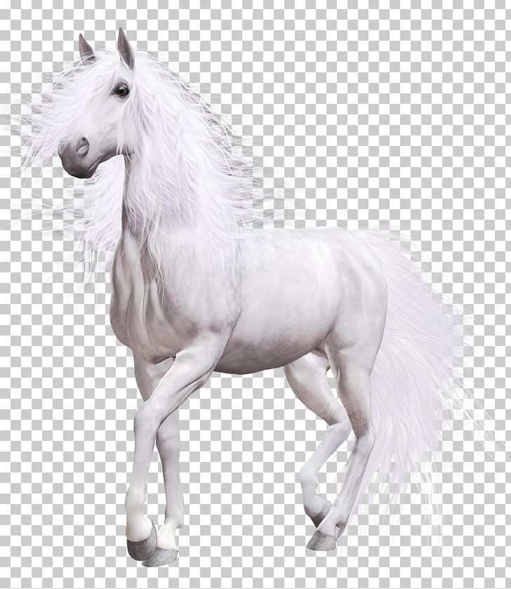 White Horse American Paint Horse PNG, Clipart, American Paint Horse, Animal, Animal Figure, Art, Art White Free PNG Download