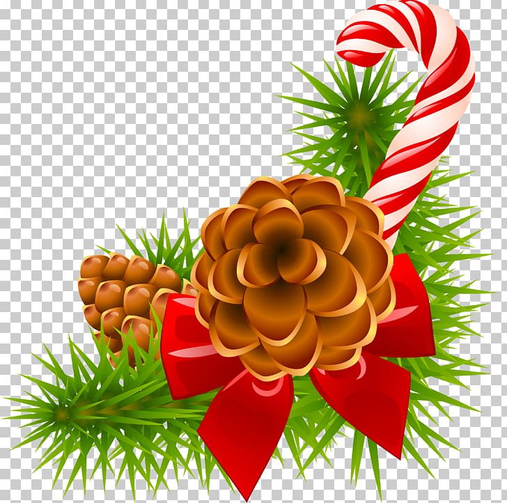 Common Holly Candy Cane Mistletoe Christmas PNG, Clipart, Candy Cane, Christmas, Christmas Decoration, Christmas Ornament, Christmas Tree Free PNG Download
