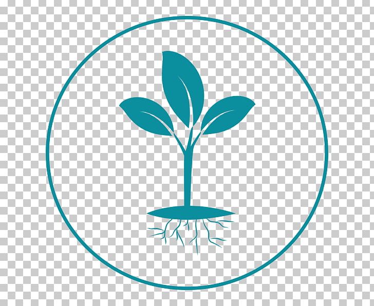 Computer Icons Rooting Plant PNG, Clipart, Area, Artwork, Circle, Computer Icons, Core Free PNG Download