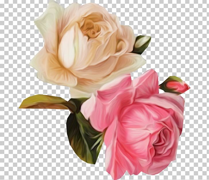 Garden Roses Cut Flowers Floral Design Cabbage Rose PNG, Clipart, Artificial Flower, Blog, Cut Flowers, Diary, Floral Design Free PNG Download