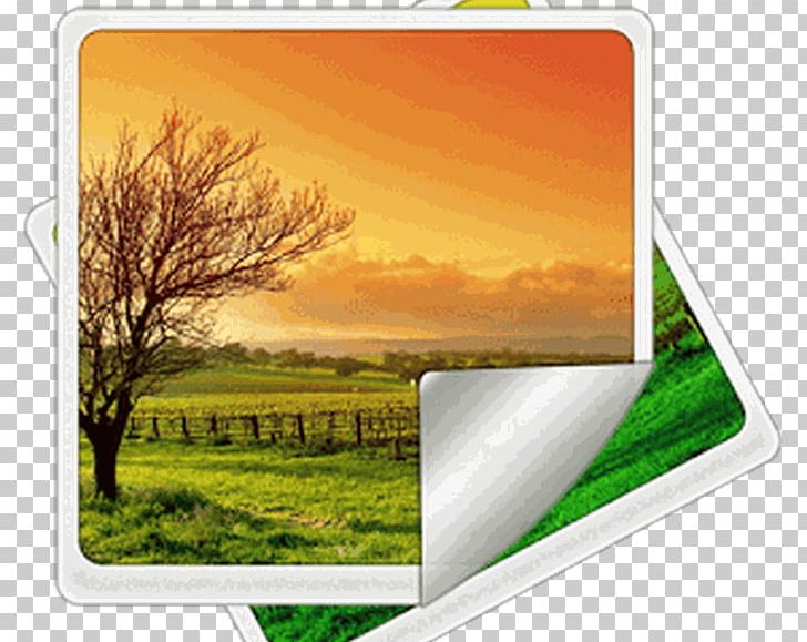 Mural Landscape Photography Wall PNG, Clipart, Art, Computer Wallpaper, Decorative Arts, Field, Grass Free PNG Download