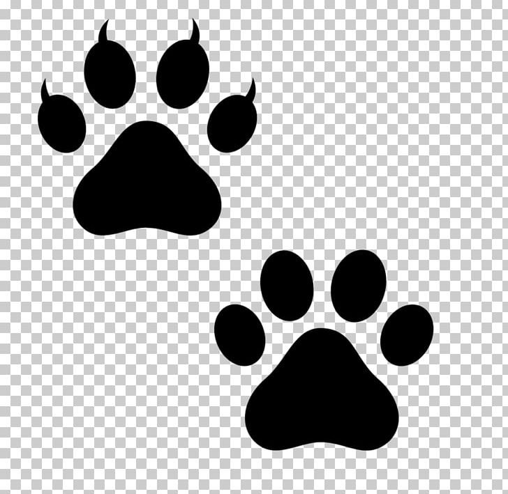 Dog Paw Bear Polydactyl Cat Puppy PNG, Clipart, Animals, Animal Track, Bear, Black, Black And White Free PNG Download
