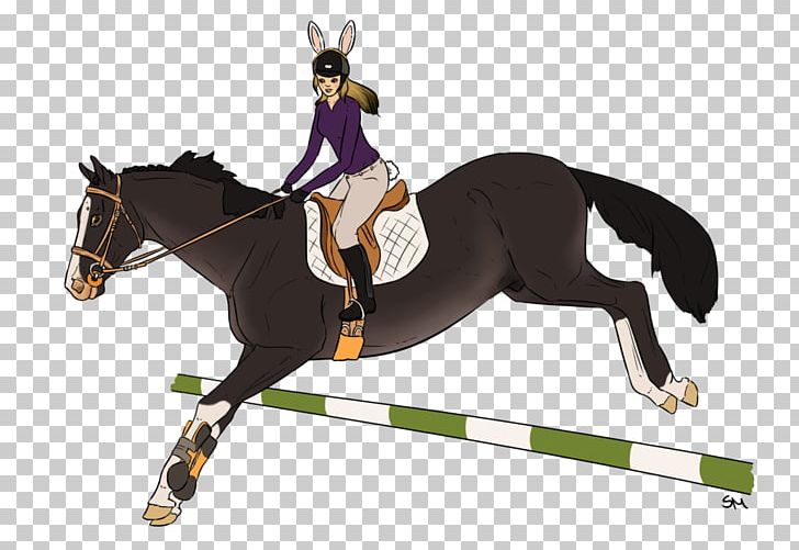 Hunt Seat Stallion Horse Rein Equitation PNG, Clipart, Animals, Animal Training, Equestrianism, Equestrian Sport, Equitation Free PNG Download