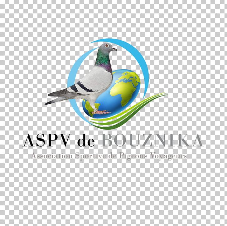 Brand Logo Bird Marketplace PNG, Clipart, Artwork, Bathroom, Beak, Bird, Brand Free PNG Download