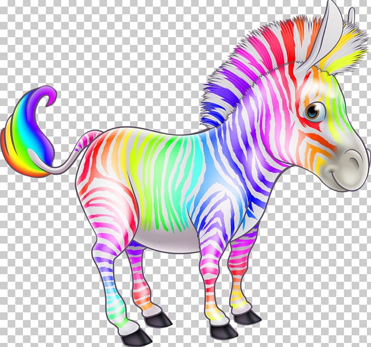 Cartoon Zebra PNG, Clipart, Animal, Animals, Colorful Background, Coloring, Color Pencil Free PNG Download