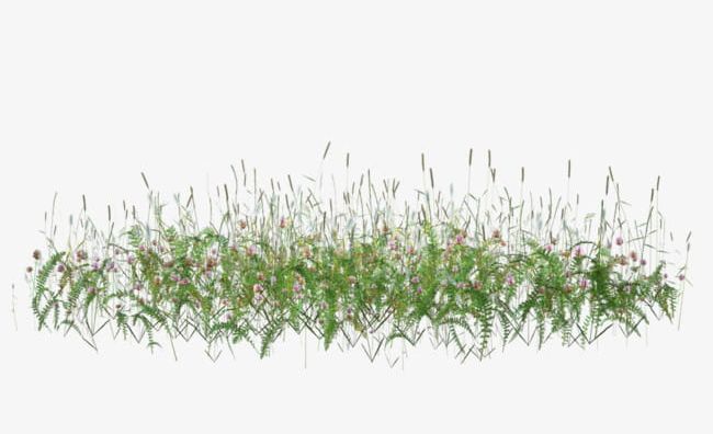 Dog's Tail Grass PNG, Clipart, Dogs, Dogs Clipart, Dogs Clipart, Download, Free Free PNG Download