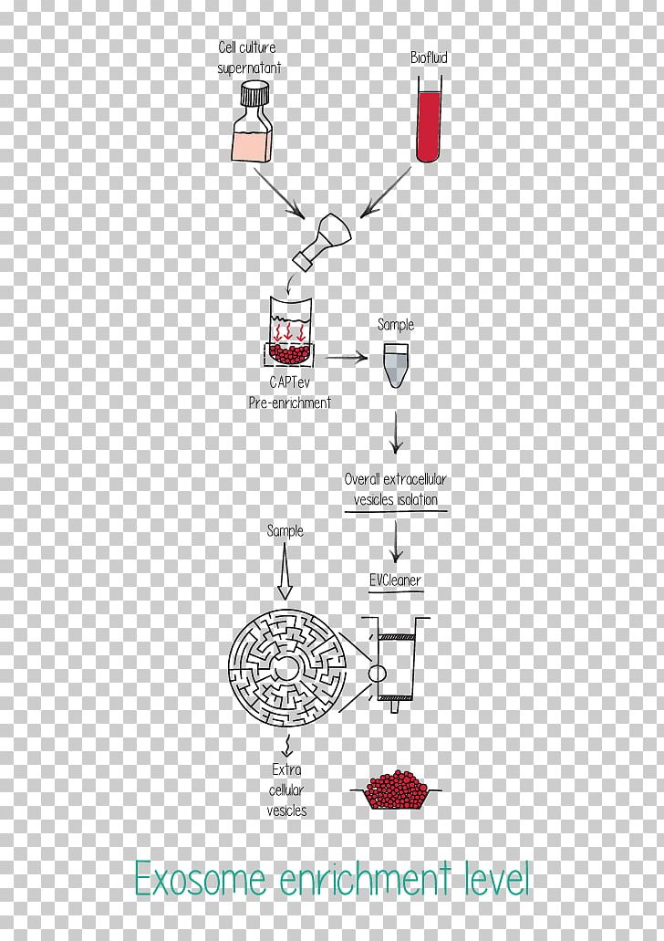 Exosome MicroRNA Cell Culture Vesicle Biomarker PNG, Clipart, Biomarker, Biomedical Research, Brand, Cell, Cell Culture Free PNG Download