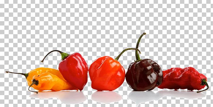 Habanero Cayenne Pepper Chili Pepper Carolina Reaper Peperoncino PNG, Clipart, Bell Peppers And Chili Peppers, Cayenne Pepper, Chili Pepper, Food, Fruit Free PNG Download