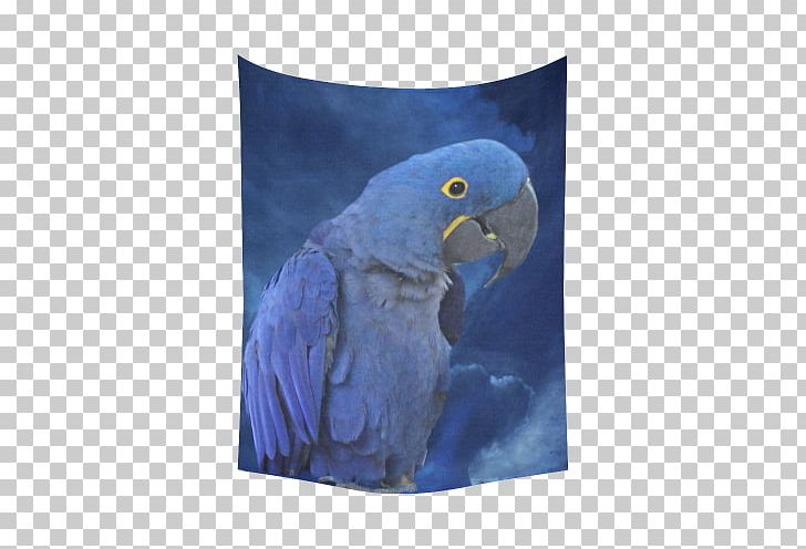 Macaw Parrot Cobalt Blue Beak PNG, Clipart, Apple Iphone 7 Plus, Apple Iphone 8 Plus, Beak, Bird, Blue Free PNG Download