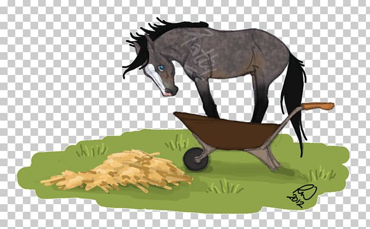 Mustang Foal Mare Stallion Rein PNG, Clipart,  Free PNG Download