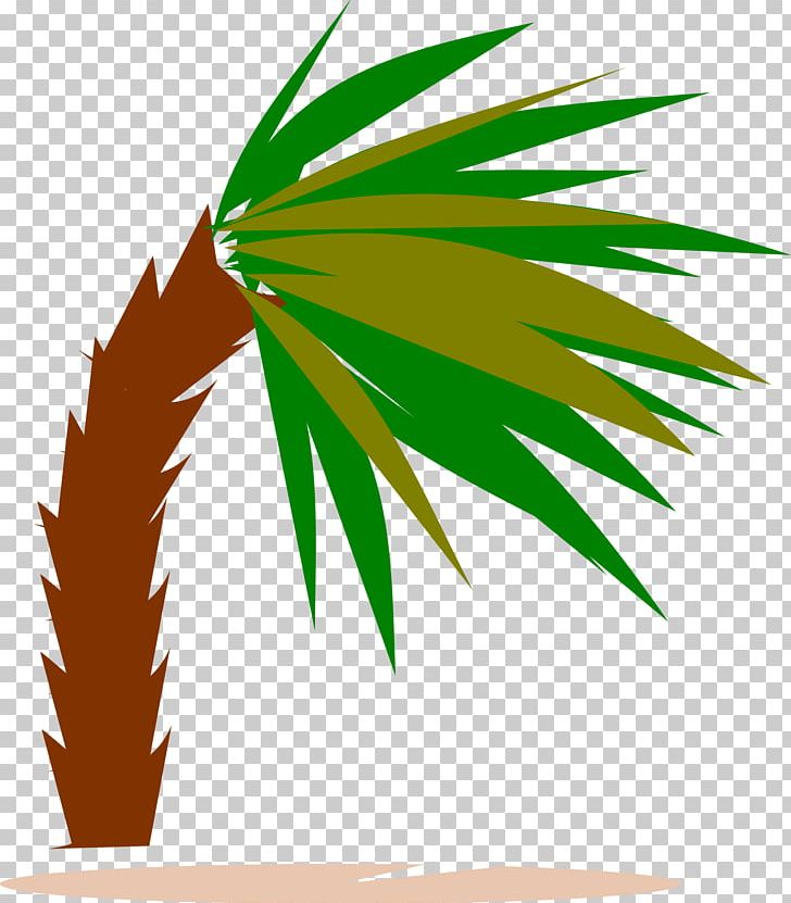 Arecaceae Tree Wind PNG, Clipart, Arecaceae, Arecales, Coconut, Computer Icons, Desktop Wallpaper Free PNG Download