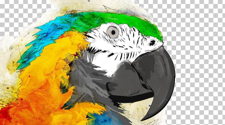 Parrot Bird Watercolor Painting Macaw PNG, Clipart, Animals, Beak, Blueandyellow Macaw, Color, Computer Wallpaper Free PNG Download