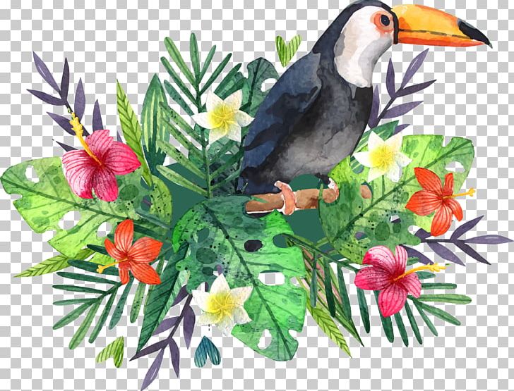 Hornbill Fauna Flora Tote Bag PNG, Clipart, Beak, Bird, Bird Cage, Branch, Download Free PNG Download
