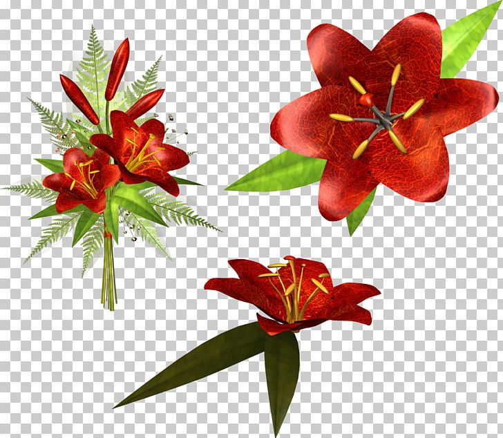 Flower Lilium PNG, Clipart, Art, Color, Cut Flowers, Decorative Arts, Floral Design Free PNG Download