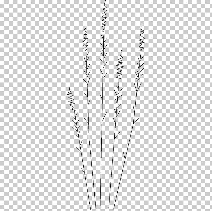 Grasses Line Art Commodity Plant Stem PNG, Clipart, Art, Black And White, Branch, Commodity, Flowering Plant Free PNG Download