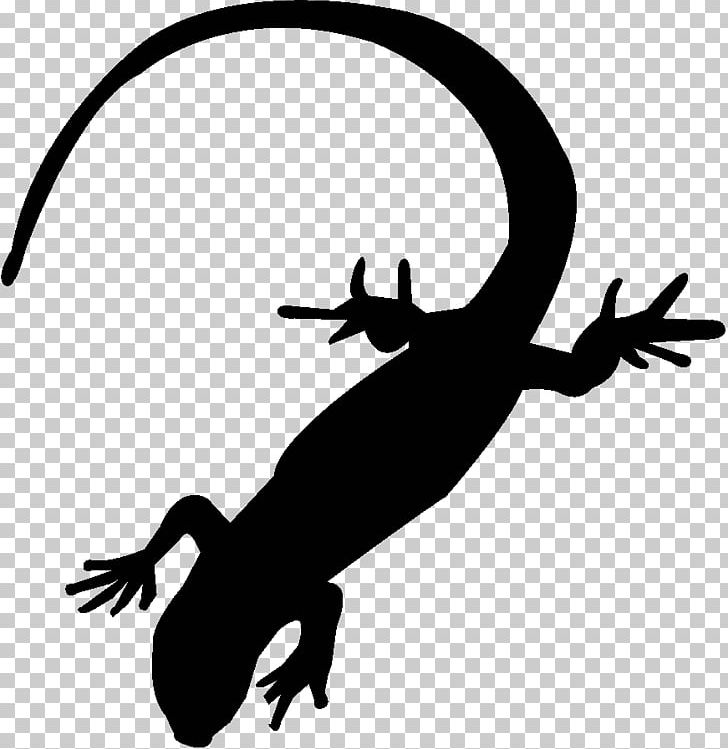 White Stork Reptile Fire Salamander PNG, Clipart, Animals, Artwork, Black And White, Chordata, Fauna Free PNG Download
