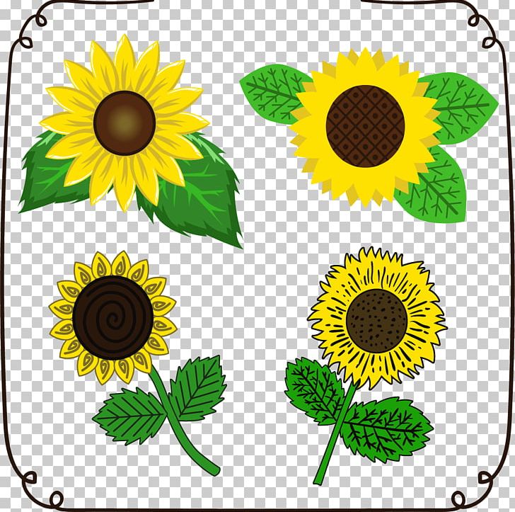 Common Sunflower Euclidean Drawing PNG, Clipart, Bumblebee, Daisy Family, Drawing, Flora, Floral Design Free PNG Download