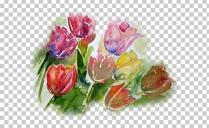 Garden Roses Watercolor Painting Flower Still Life PNG, Clipart, Aquarelle, Brush, Cut Flowers, Drawing, Flower Free PNG Download