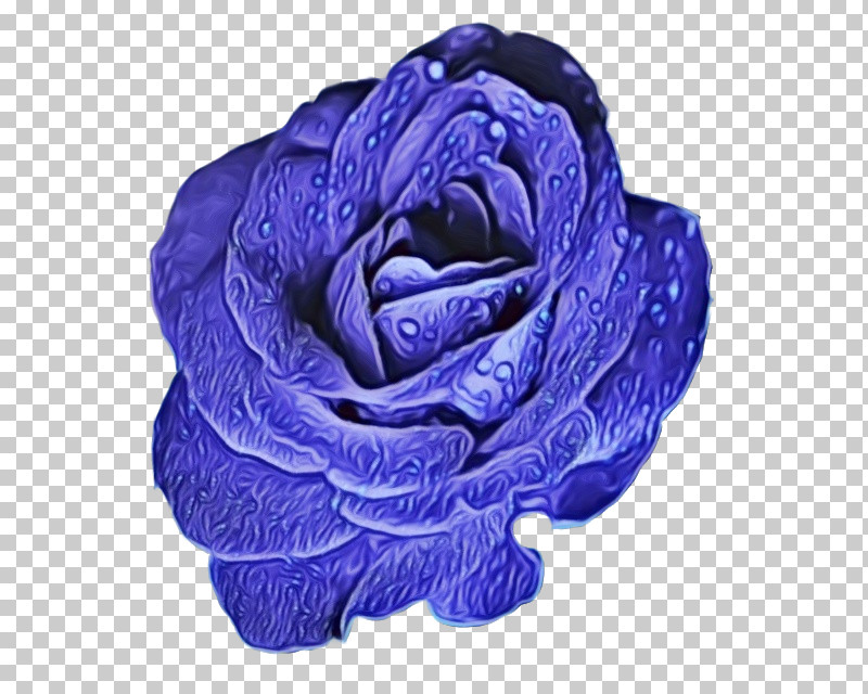 Garden Roses PNG, Clipart, Blue, Blue Rose, Cut Flowers, Flower, Garden Free PNG Download