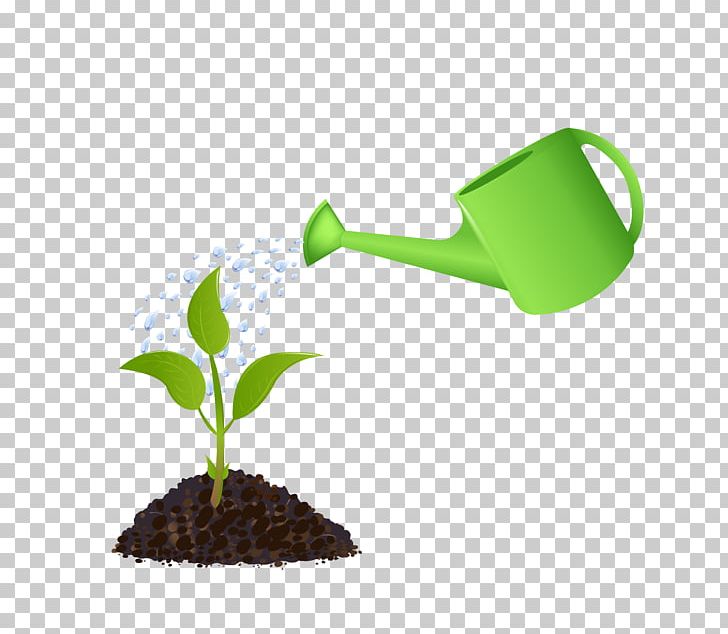 Watering Can Plant PNG, Clipart, Brand, Can Stock Photo, Garden, Gardening, Grass Free PNG Download