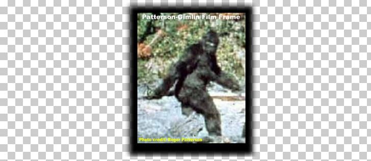 Bigfoot United States Ape Cryptozoology Legendary Creature PNG, Clipart, Ape, Bigfoot, Cryptozoology, Fauna, Finding Bigfoot Free PNG Download