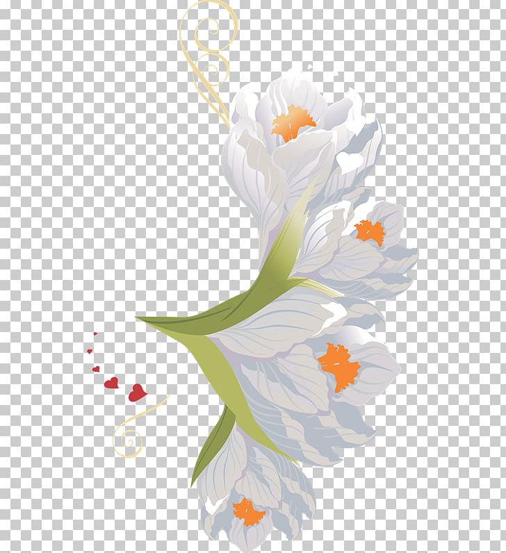 Floral Design Bird Beak Feather PNG, Clipart, Art, Beak, Bird, Character, Feather Free PNG Download