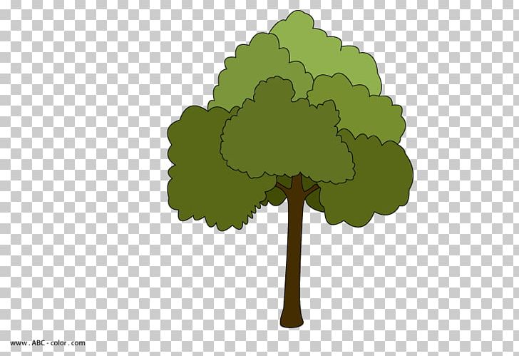 Tree Maple Leaf Kousa Dogwood Shrub PNG, Clipart, Autumn Leaf Color, Dogwood, Flag Of Canada, Flower, Grass Free PNG Download