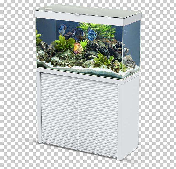 Aquarium Filters Matériel D'aquarium Akvariesæt PNG, Clipart, Aquarium, Aquarium Filters, Emotion, Filtration, Fishkeeping Free PNG Download