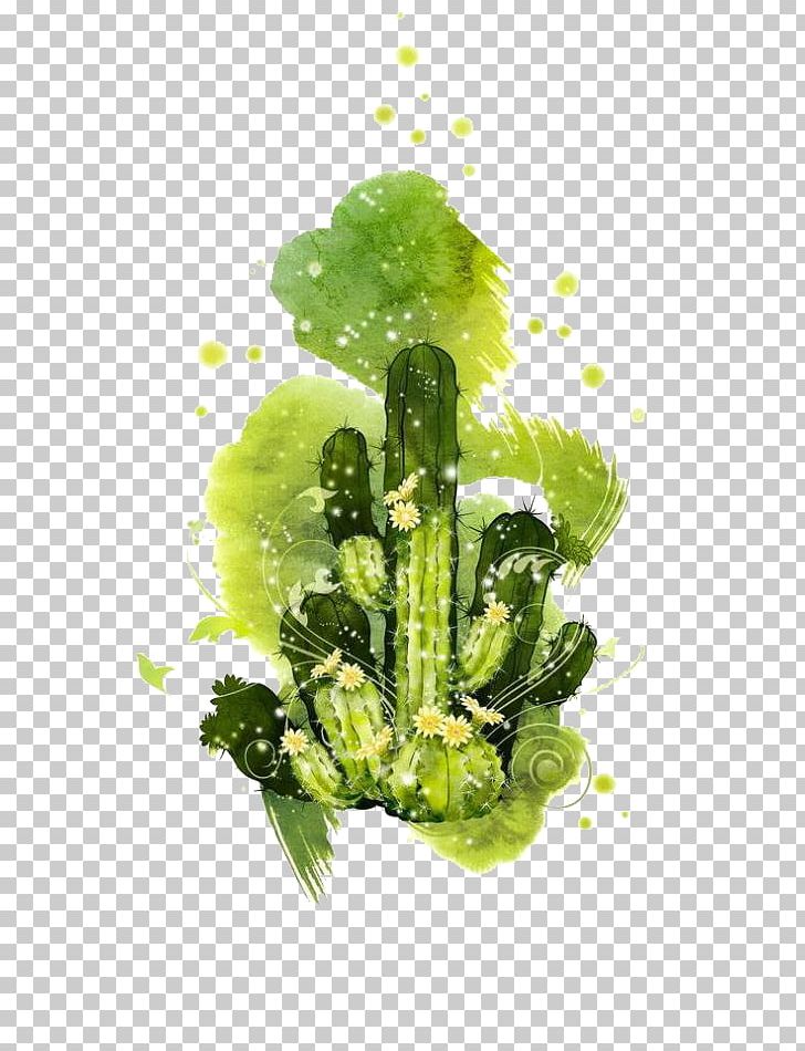 Cactaceae Photography Illustration PNG, Clipart, Animation, Art, Cartoon, Encapsulated Postscript, Floral Design Free PNG Download