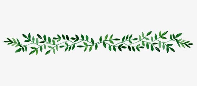Hand-painted Leaf Border PNG, Clipart, Border, Border Clipart, Borders, Fresh, Hand Painted Free PNG Download