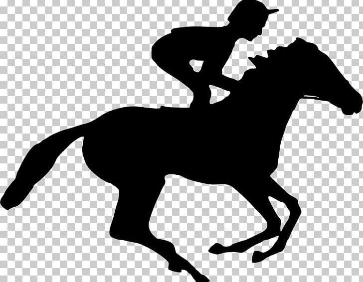 Horse Racing Equestrian Jockey Standing Horse PNG, Clipart, Animals, Barrel Racing, Black, Bridle, Canter And Gallop Free PNG Download