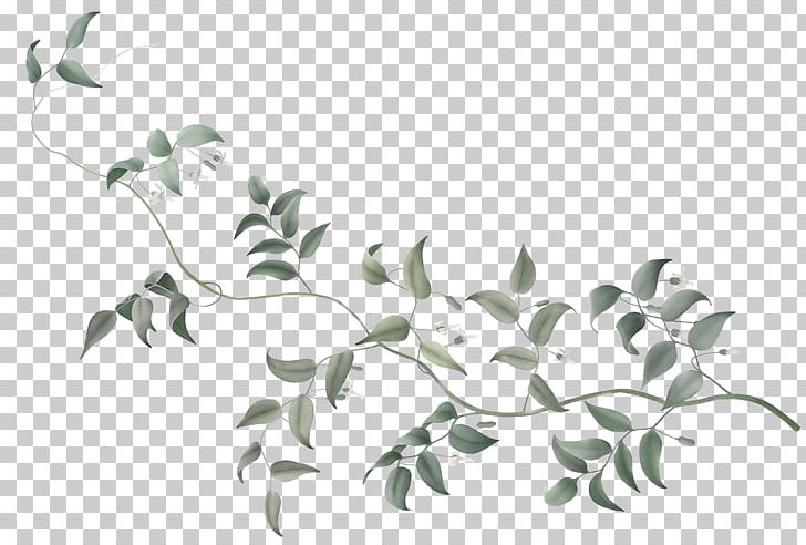 DUMBO Vine Flower Plant Stem Tree PNG, Clipart, Black And White, Branch, Brooklyn, Dumbo, Engagement Free PNG Download