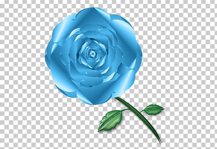 Garden Roses Blue Rose Cabbage Rose Cut Flowers PNG, Clipart, Blue, Blue Rose, Copy, Cut Flowers, Flower Free PNG Download