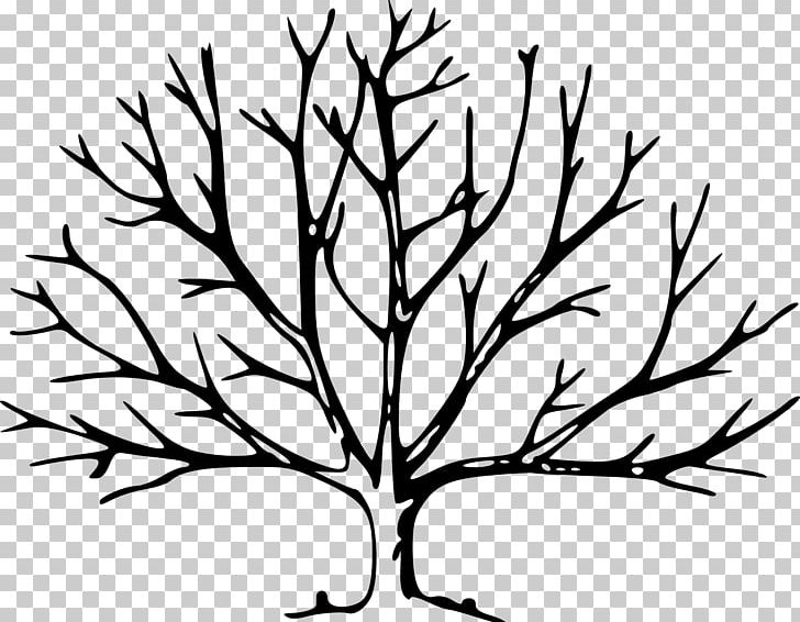 Trees For Kids Leaf Branch PNG, Clipart, Artwork, Bitki, Black And White, Branch, Deciduous Free PNG Download
