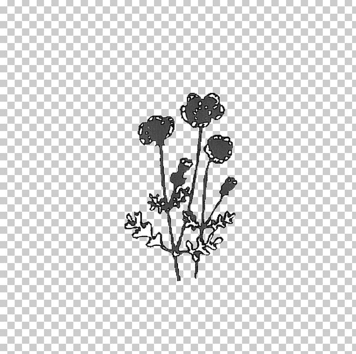 Twig Drawing Plant Stem Leaf /m/02csf PNG, Clipart, Black, Black And White, Black M, Body Jewellery, Body Jewelry Free PNG Download