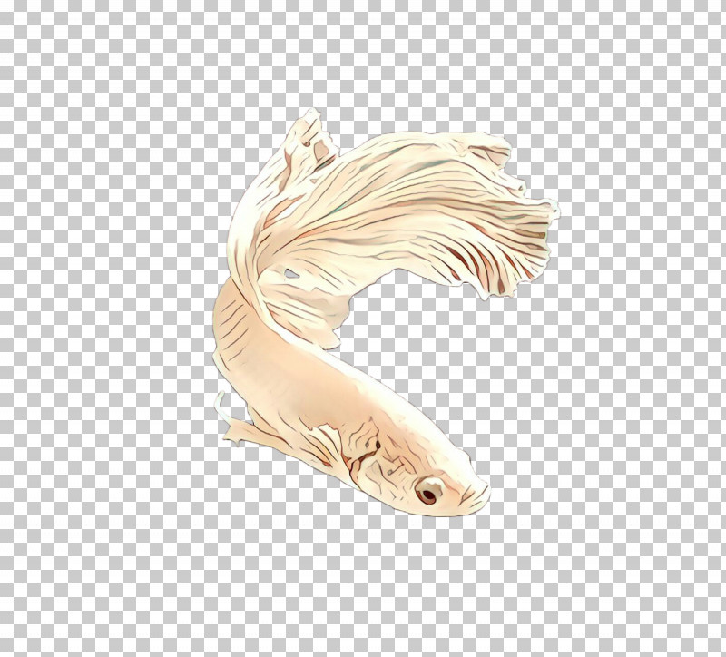 Feather PNG, Clipart, Feather, Fish, Koi, Tail Free PNG Download
