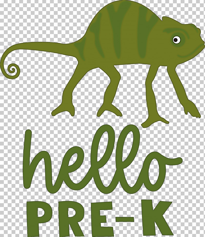 HELLO PRE K Back To School Education PNG, Clipart, Back To School, Biology, Education, Frogs, Green Free PNG Download