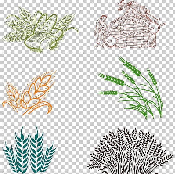 Bakery Common Wheat PNG, Clipart, Bakery, Bread, Cartoon, Cartoon Wheat, Common Wheat Free PNG Download