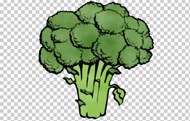 Broccoli Leaf Vegetable Plant Vegetable PNG, Clipart, Broccoli, Leaf Vegetable, Paint, Plant, Vegetable Free PNG Download