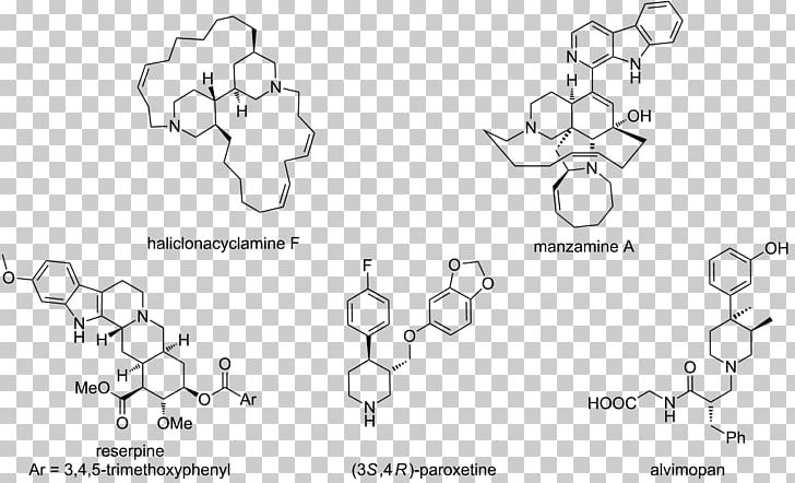 Piperidine Pharmaceutical Drug Natural Product Alkaloid Amine PNG, Clipart, Alkaloid, Amine, Angle, Area, Auto Part Free PNG Download