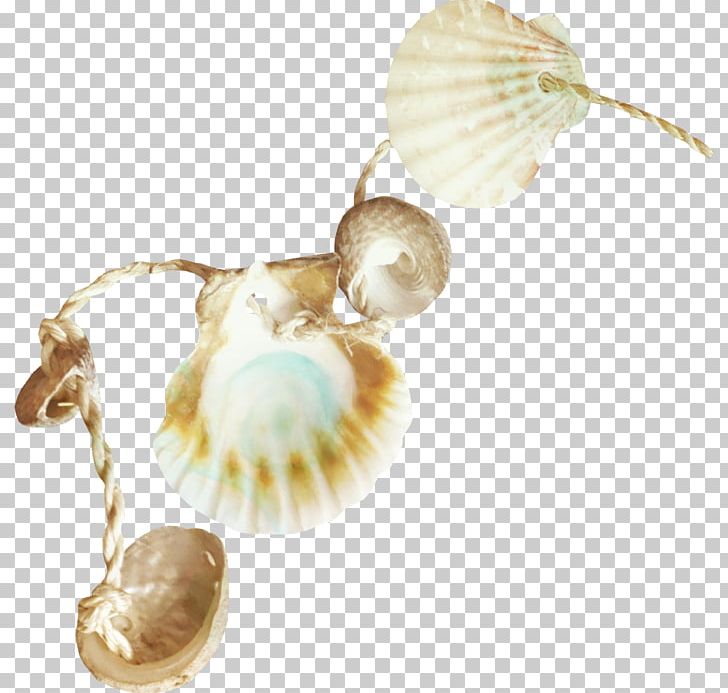 Seashell Ocean PNG, Clipart, Beach, Blog, Body Jewelry, Digital Image, Jewellery Free PNG Download
