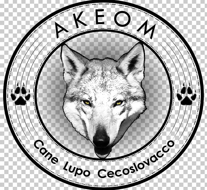 Czechoslovakian Wolfdog Italy Gray Wolf Kennel PNG, Clipart,  Free PNG Download