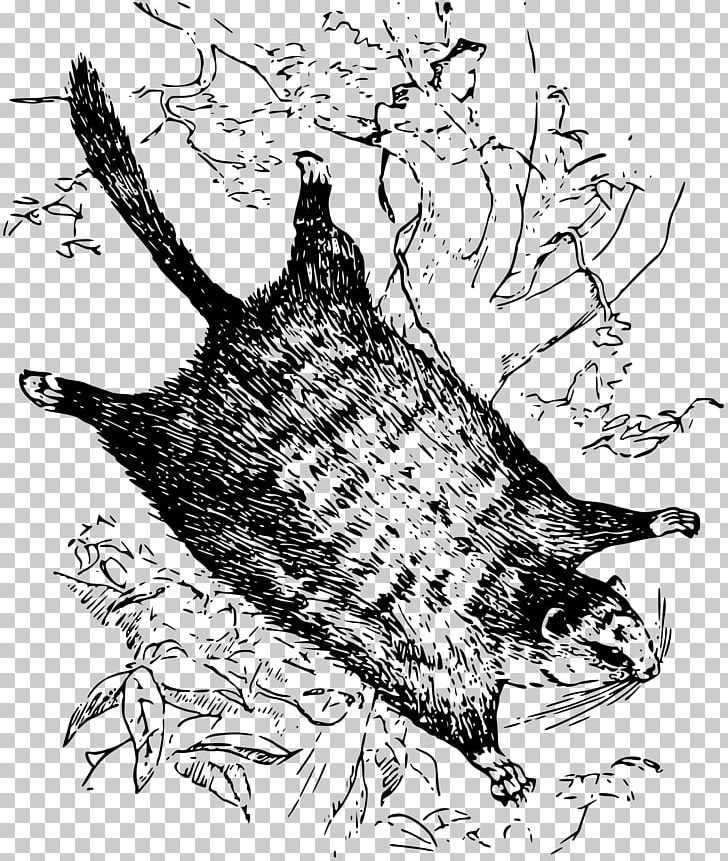 Japanese Dwarf Flying Squirrel PNG, Clipart, Animals, Art, Bird, Carnivoran, Cat Like Mammal Free PNG Download