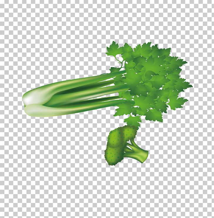 Leaf Vegetable Broccoli Celery U7dd1u9ec4u8272u91ceu83dc PNG, Clipart, Background Green, Broccoli Vector, Celery Vector, Encapsulated Postscript, Food Free PNG Download
