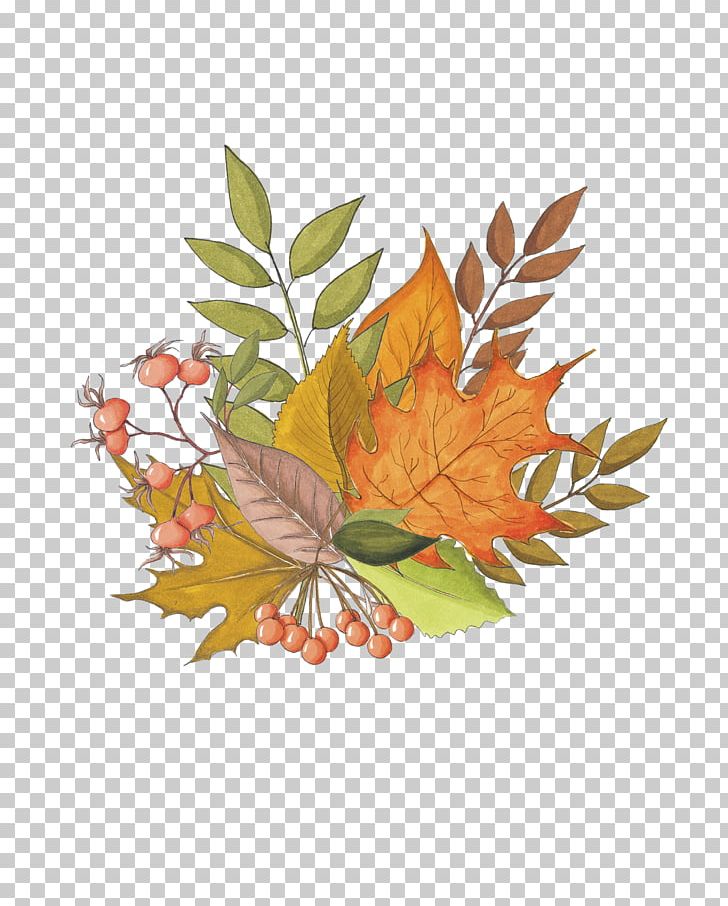 Maple Leaf Autumn Drawing PNG, Clipart, Autumn, Autumn Leaf Color, Branch, Bunch, Butterfly Free PNG Download