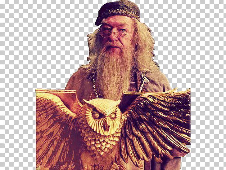 Beard Albus Dumbledore Harry Potter And The Goblet Of Fire Moustache Harry Potter Film Series PNG, Clipart, Albus Dumbledore, Beard, Facial Hair, Hair, Harry Potter Film Series Free PNG Download