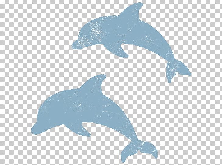 Common Bottlenose Dolphin Tucuxi Rough-toothed Dolphin Fauna PNG, Clipart, Animal, Animal Figure, Animals, Beak, Biology Free PNG Download