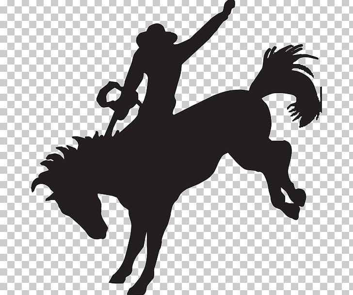 Horse Equestrian Bronc Riding Bronco Bucking PNG, Clipart, Animals, Canter And Gallop, Cowboy, Drawing, English Riding Free PNG Download